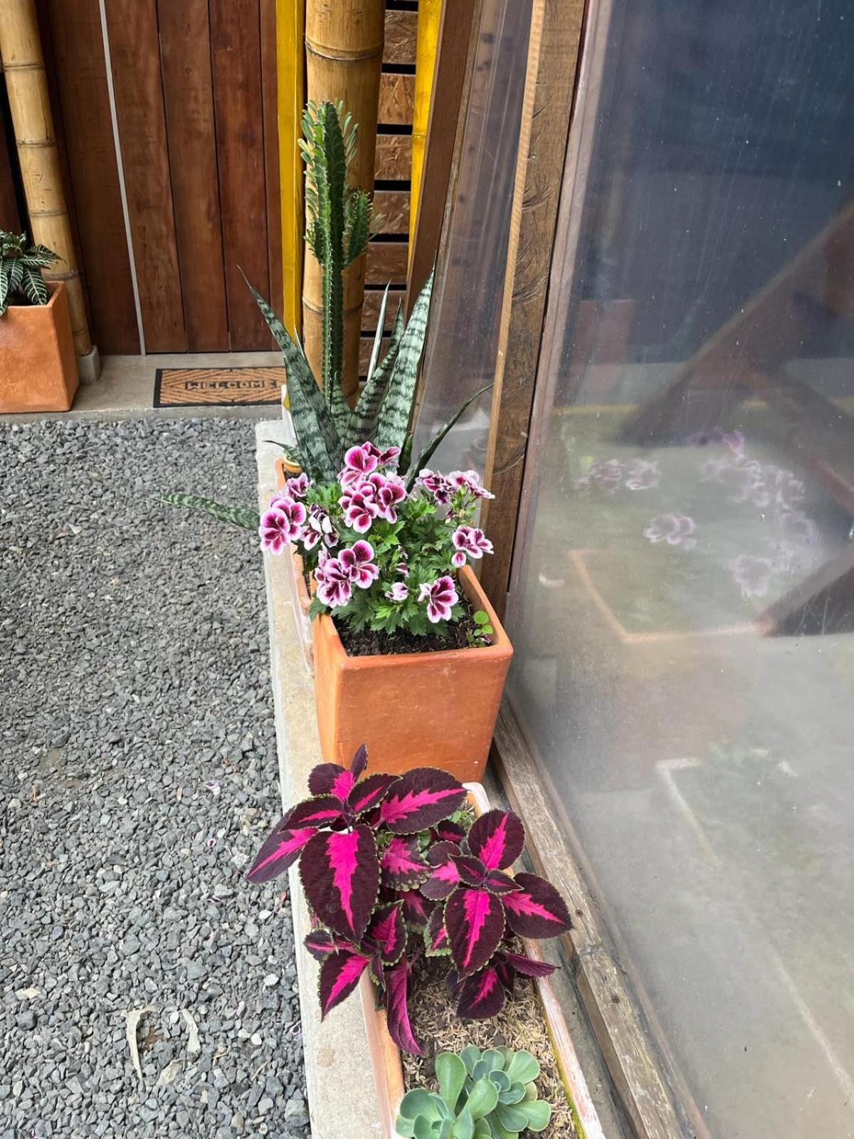 Hostel Casa Mochila Salento Zewnętrze zdjęcie